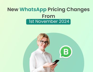 New WhatsApp Pricing Update from November 2024 | Picky Assist