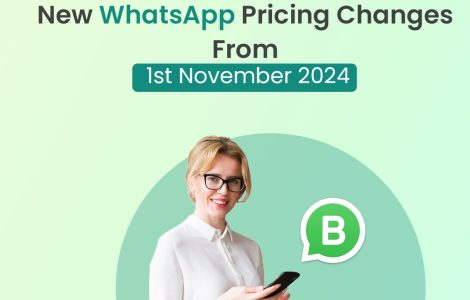 New WhatsApp Pricing Update from November 2024 | Picky Assist