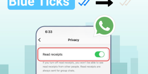 Turn Off Blue Ticks on WhatsApp