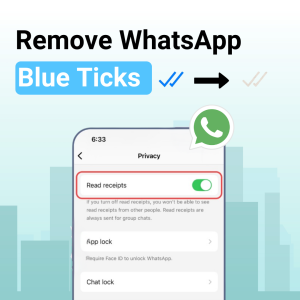 Turn Off Blue Ticks on WhatsApp