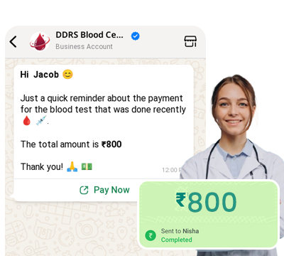 WhatsApp Payment Automation | Picky Assist