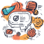 Automate Your WhatsApp Catalog for 10x Faster Sales & Customer Engagement